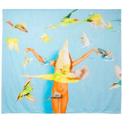 Ryan McGinley: ビーチタオル WOW Project